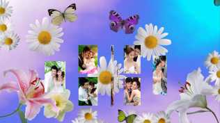 2026第56重发 炫美婚礼照片展示