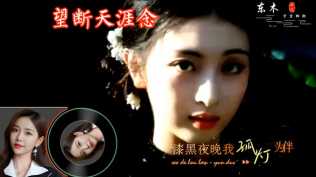 赵洋 - 望断天涯念