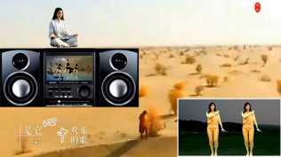 罗海英-天边的骆驼