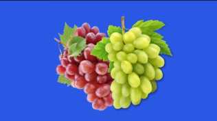 绿屏素材-水果种种-35款