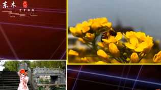 崔叶华 - 江南雨蒙蒙