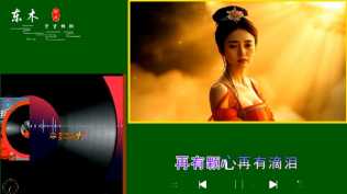 尚芸菲 - 别恋歌