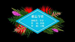 2026第94重发 炫彩唯美字幕条展示(5个)