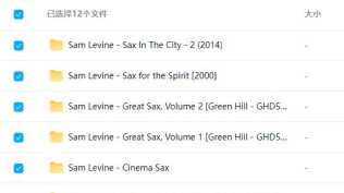 外语发烧音乐12 CD