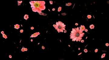 2025绿屏覆盖 花朵纷纭-2-37款