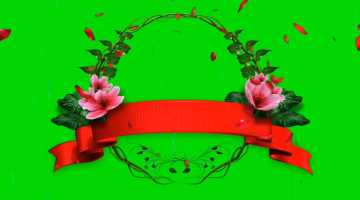 绿屏素材-鲜花朵朵花瓣飞飞-2-38++款