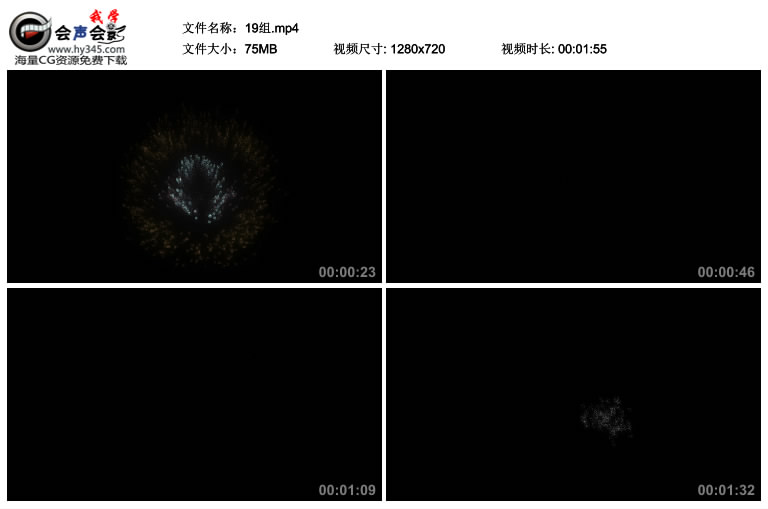 19组绚烂的烟花焰火视频素材