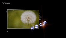 未标题-1.png