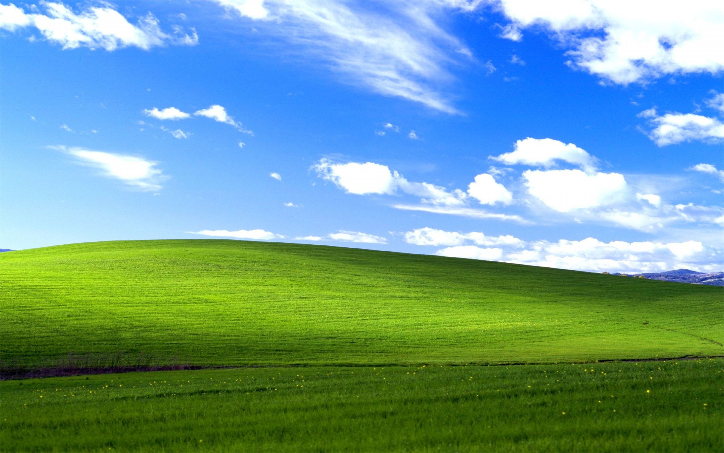 XP.jpg
