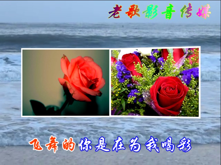 玫瑰浪花