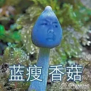 蓝瘦香菇X789模板