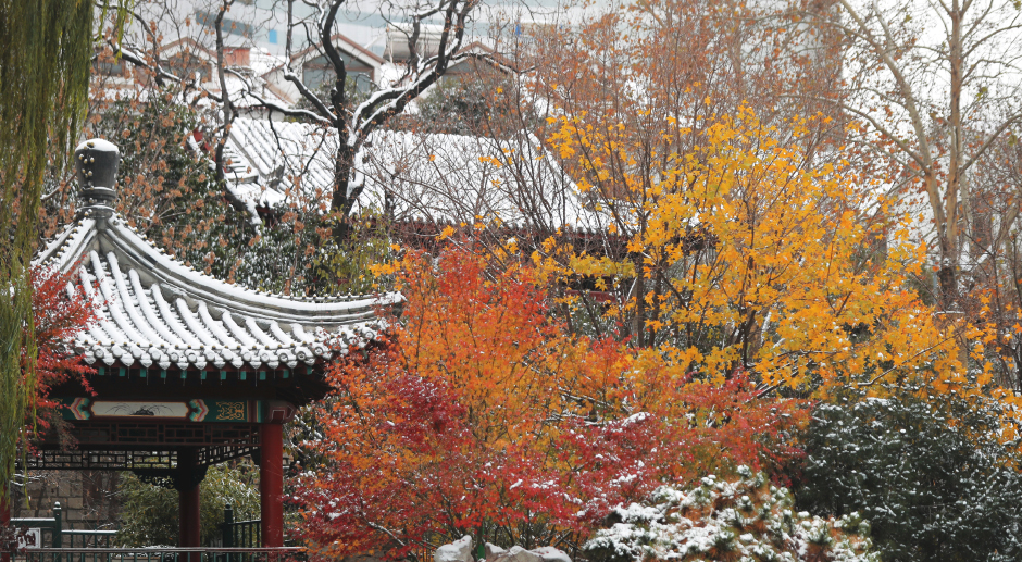 济南雪景　(23).jpg