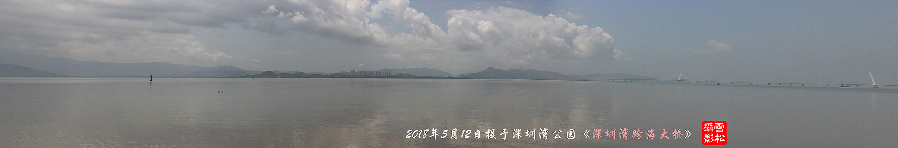 深圳湾跨海大桥全景图小.jpg