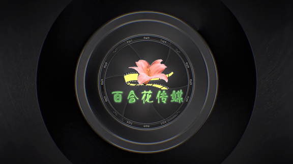 分享原创风云仿AE三维片头模板