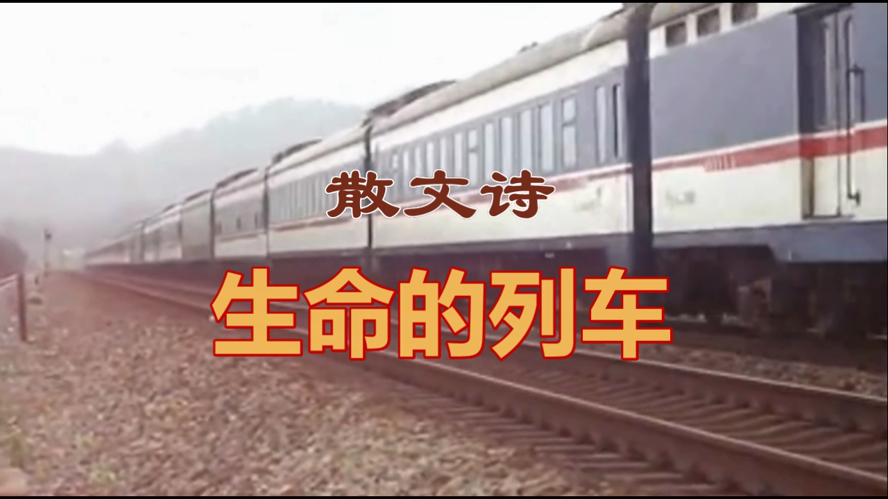 生命的列车.png