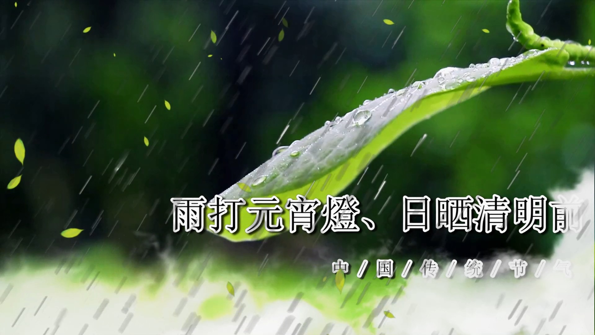 二十四节气【雨水】X10