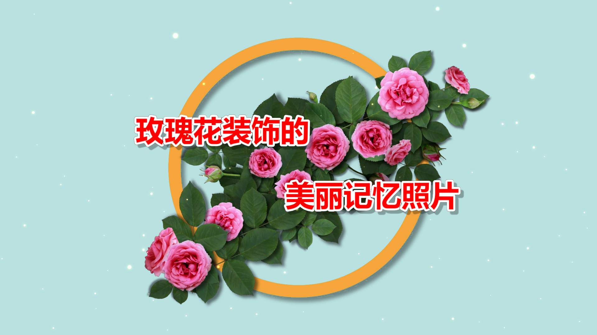 玫瑰花装饰的美丽相册