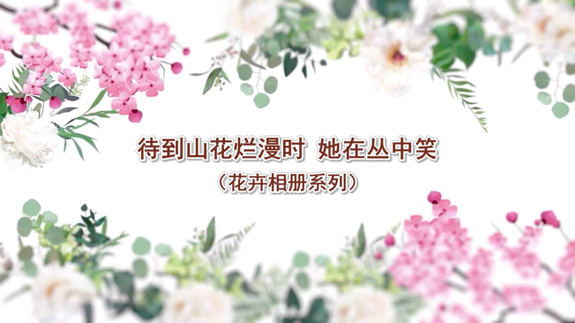 花卉丛中绽放的美丽照片